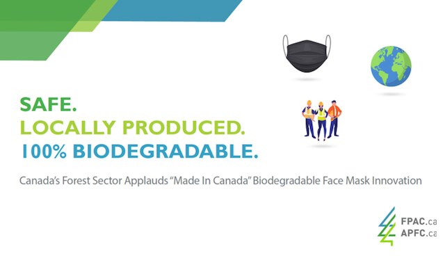 Biodegradeable masks