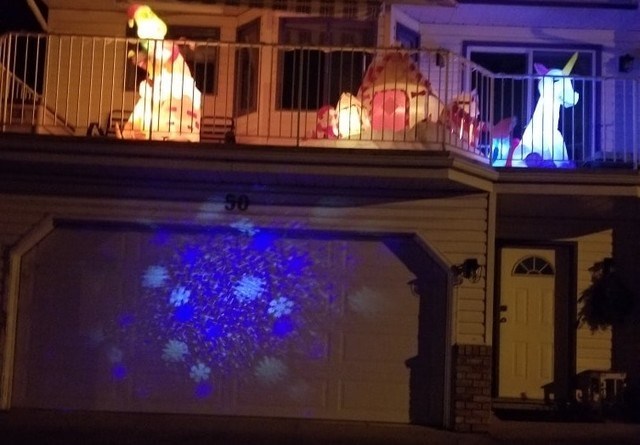 Christmas light projector stolen