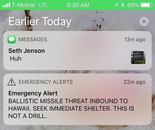 cpt503520935