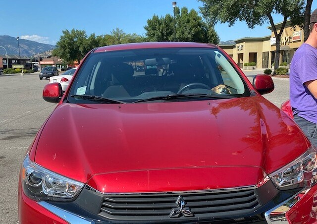 Dog in hot Kelowna car - Aug. 16, 2020