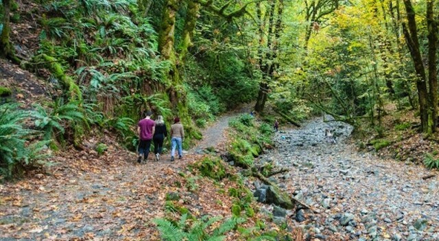 goldstream trail