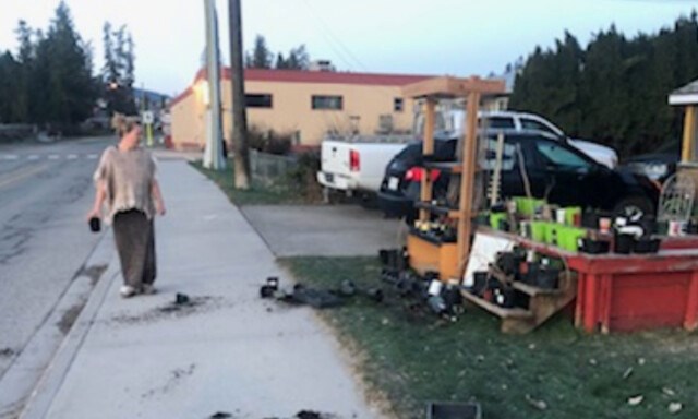 Plant sale trashed - Enderby bc