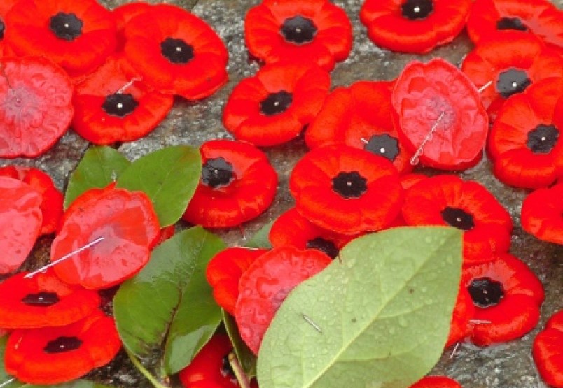 poppy-box