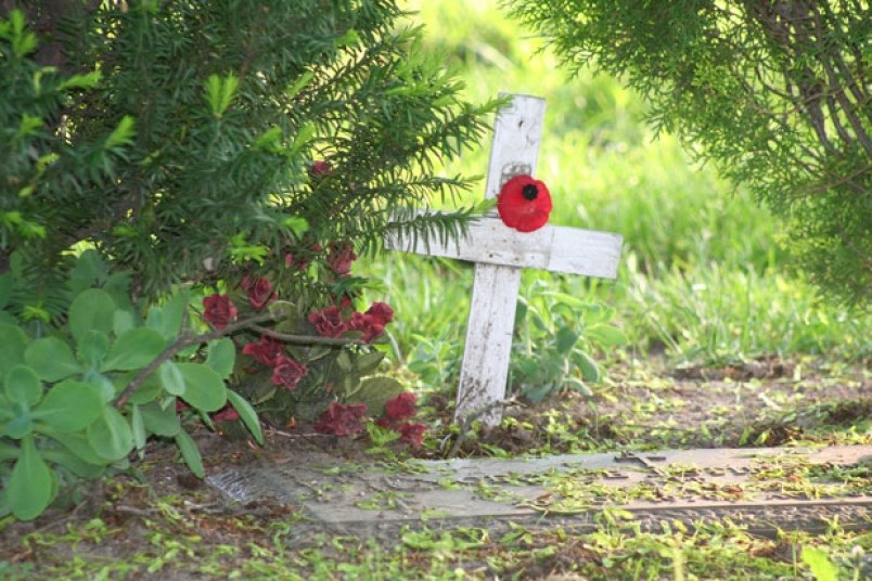 remembrance-day