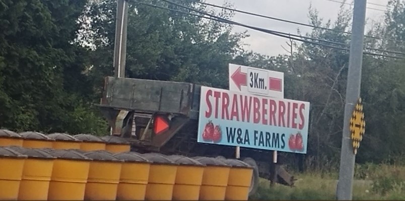 strawberry-sign