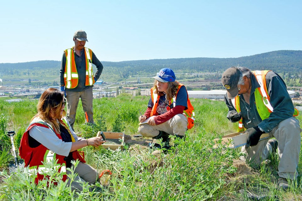 Sugar Cane Archeologists at work