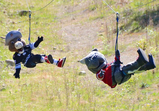 Zip-lining mascots