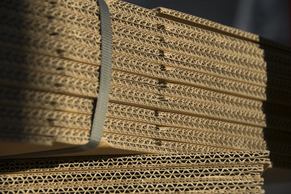 Cardboard