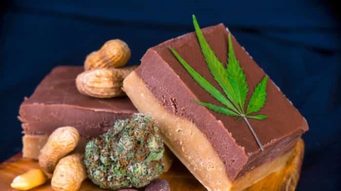 chocolate weed