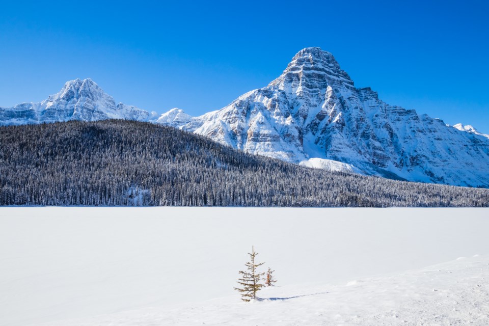 shutterstock_1314166409