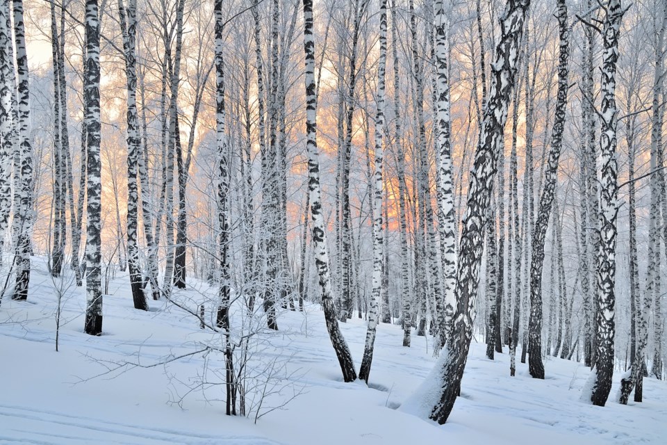 shutterstock_316037618