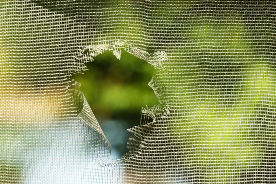 shutterstock_717961972