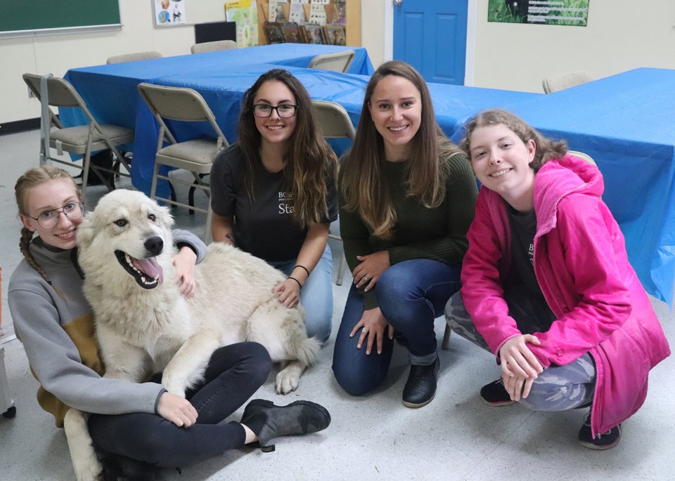 Lindsay spca best sale