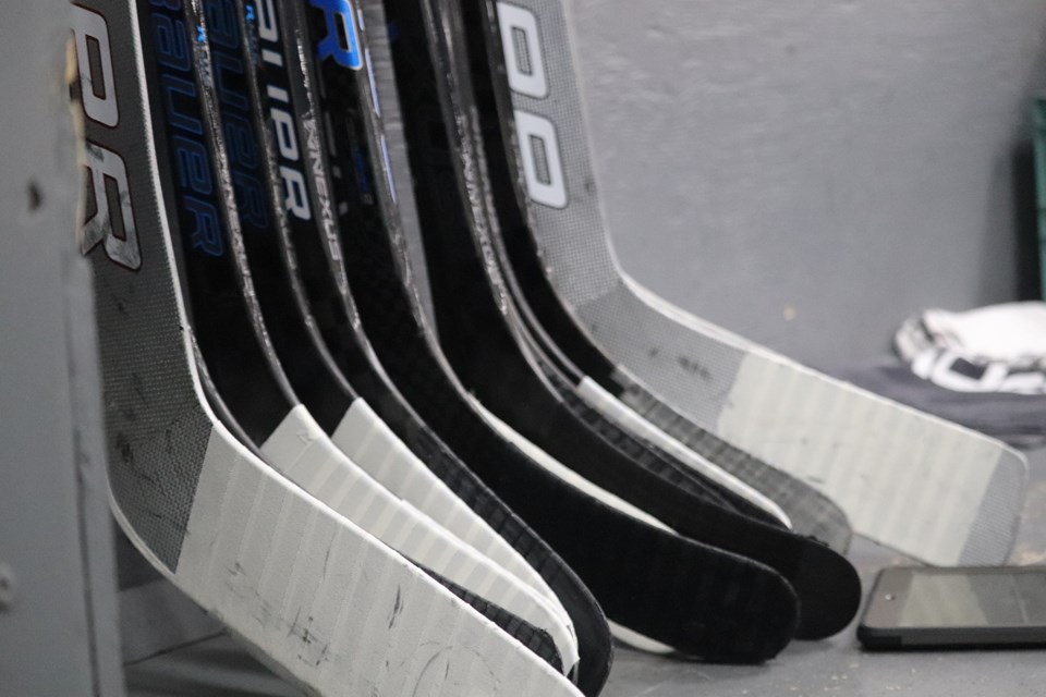 Hockey stock