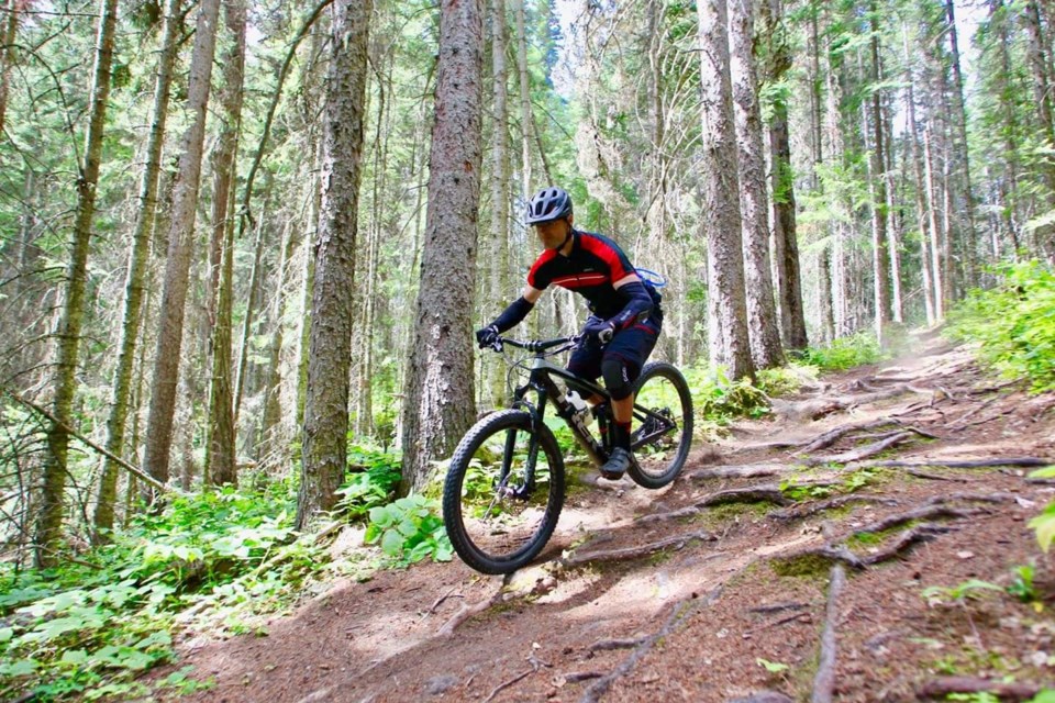 Top mountain bike clearance