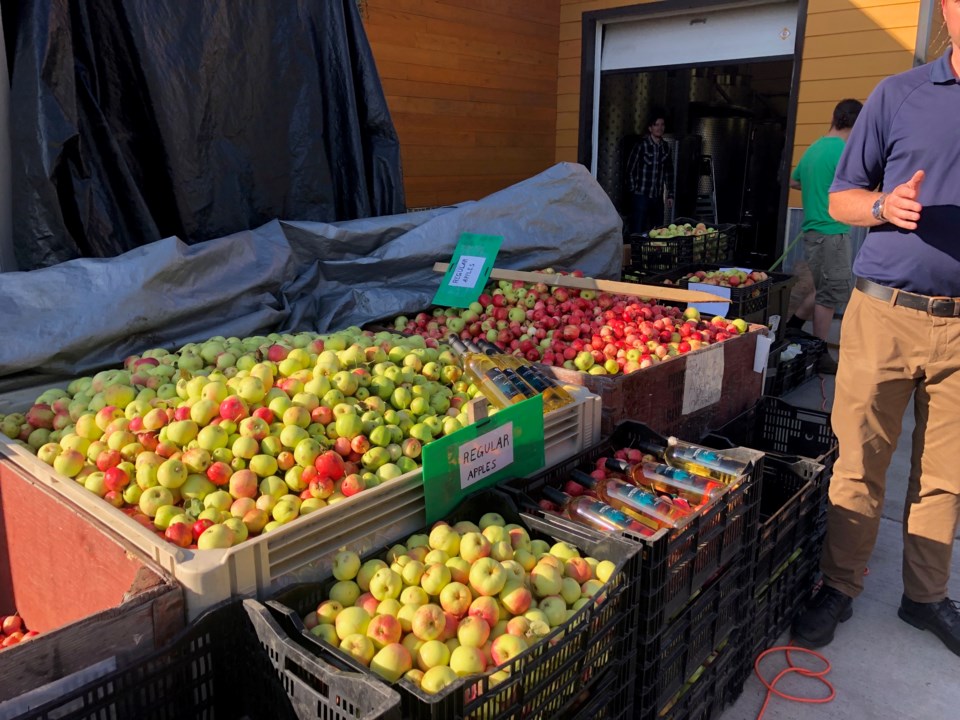 Northern Lights Estate Winery apples 2