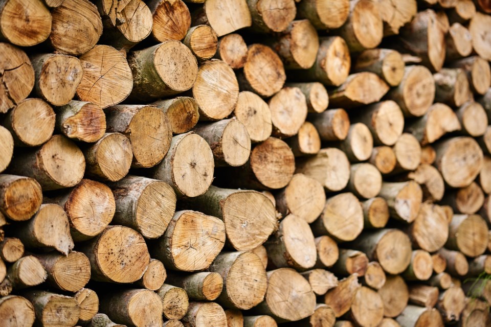 timber supply