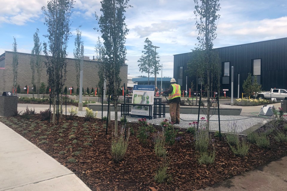 A first look at Wood Innovation Square Park. (via Hanna Petersen) 
