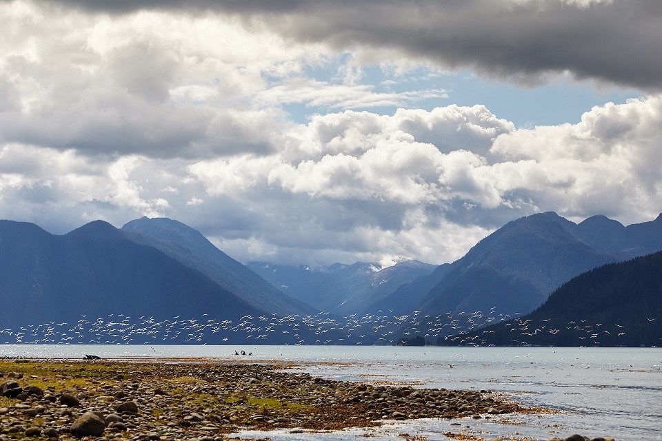 Nass Valley - Indigenous Tourism BC