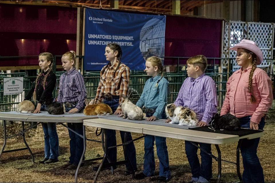 Young 4H club members stand ready to show their rabbits at the BCNE Friday, August 15, 2025.