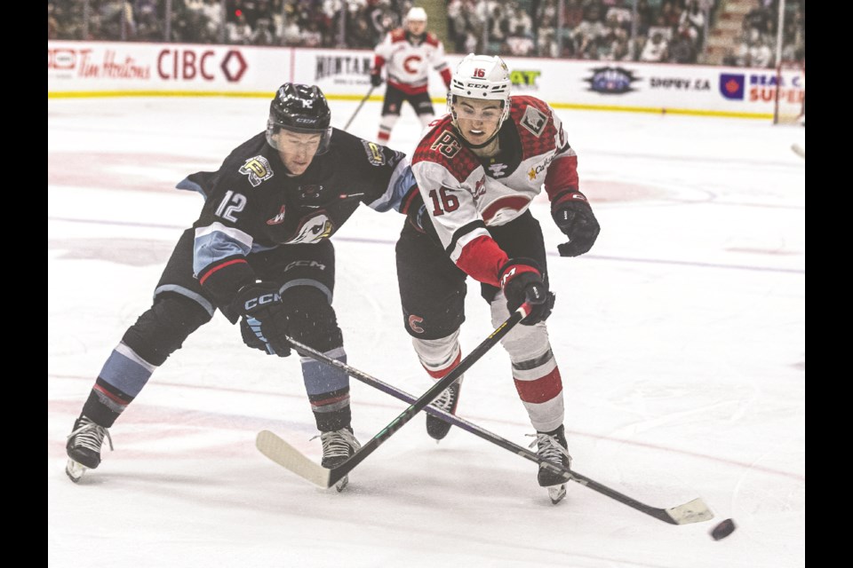 Winterhawks defenseman Cole Slobodian and Cougars forward Aiden Foster battle for the puck  during Game 2 of their Western Conference quarterfinal series March 29, 2025 at CN Centre.