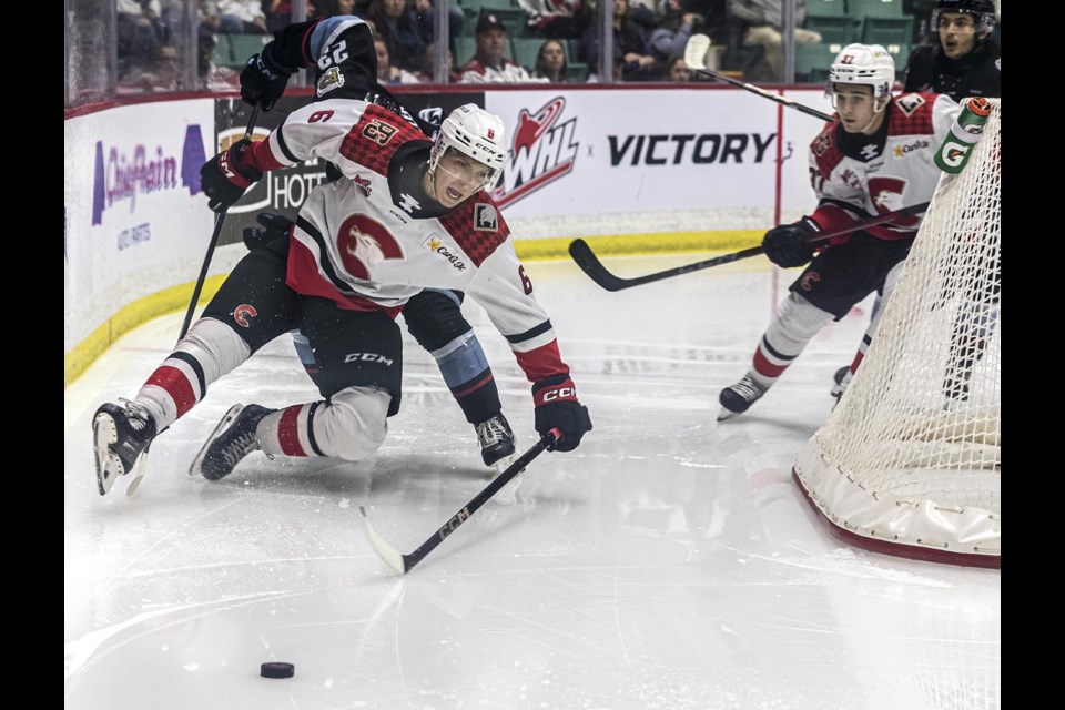 Cougars  defenceman Viliam Kmec, left, has been nominated for the Bill Hunter Memorial Trophy as WHL defenceman of the year.