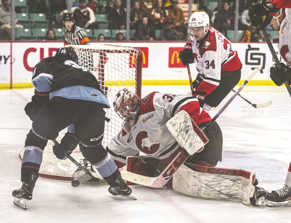 pgc-cougars-vs-winterhawks-29-03-2025-6