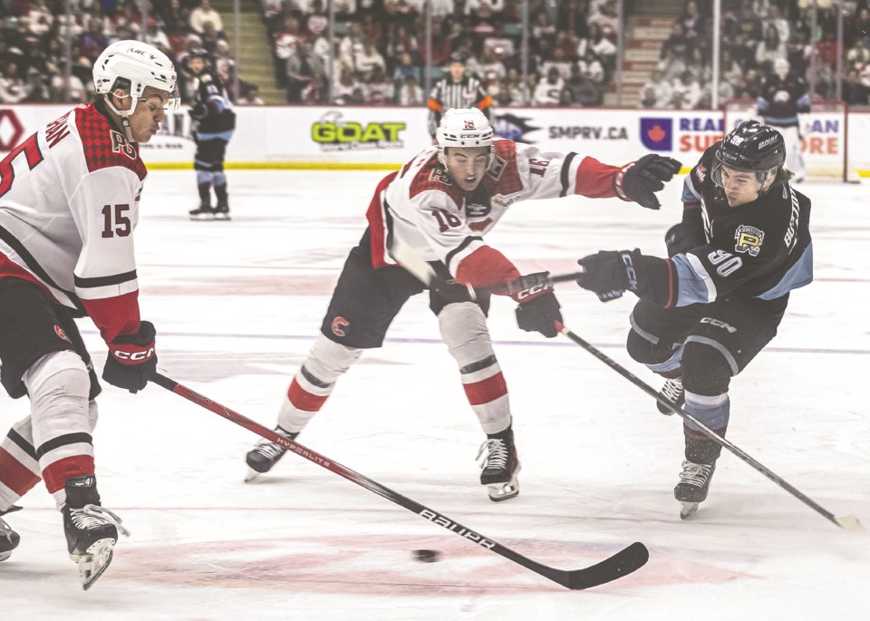pgc-cougars-vs-winterhawks-29-03-2025-8