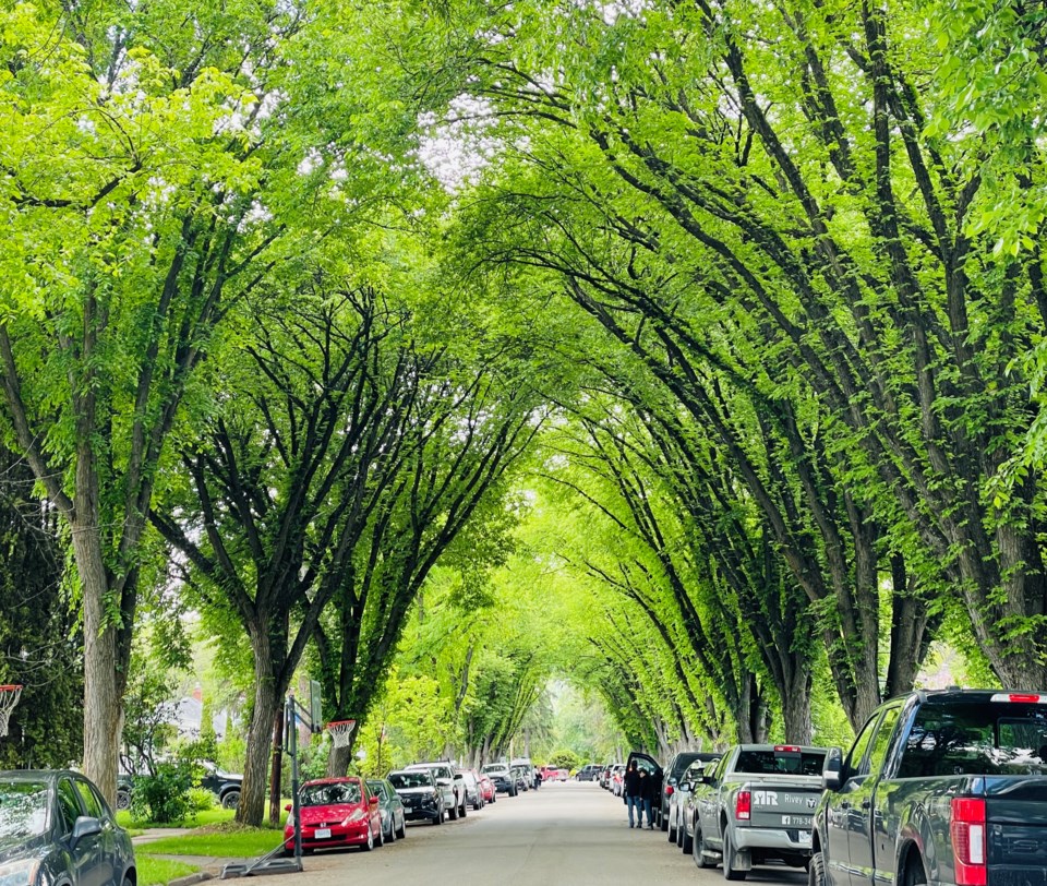 pgc-dogwood-street-weather-sun-shade