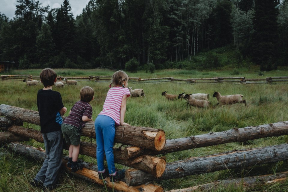 Visitors and locals can expect guided farm tours where you can walk the rows, meet the animals, and learn from the farmers themselves