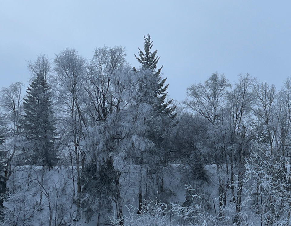 pgc-fog-250127(1)