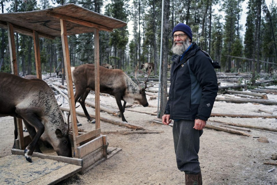 Wildlife biologist Doug Heard of Prince George has been studying caribou at a feed station he established in 2014 near Mackenzie at Kennedy Siding.