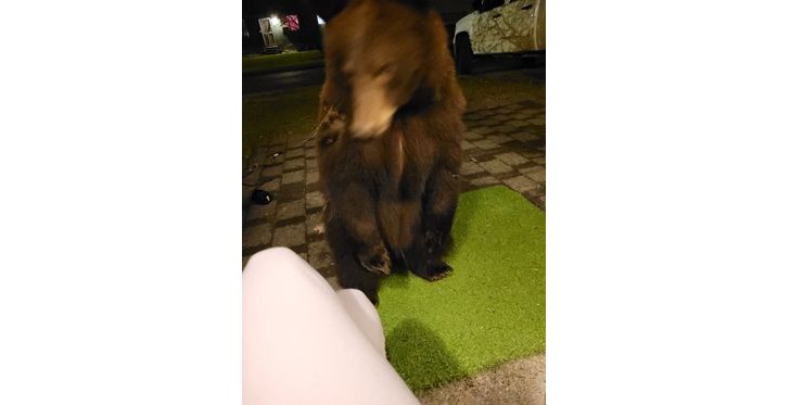 Melanie Porter of Quesnel had a very close encounter with a bear on her front porch.