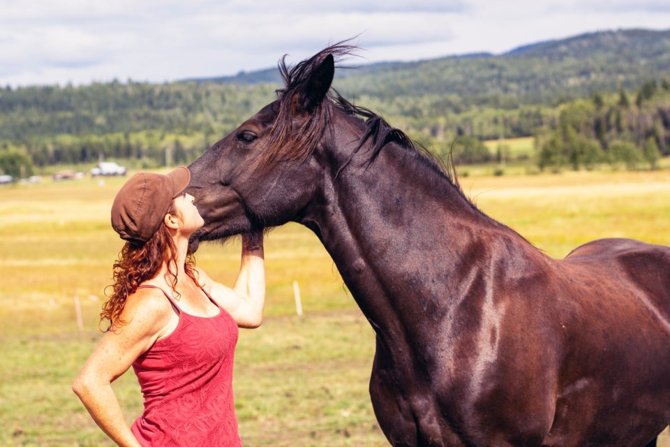 Nicola Redpath, founder of the Prince George Animal Rescue Society, says the shelter east of the airport desperately needs hay to feed its horses through the winter months.