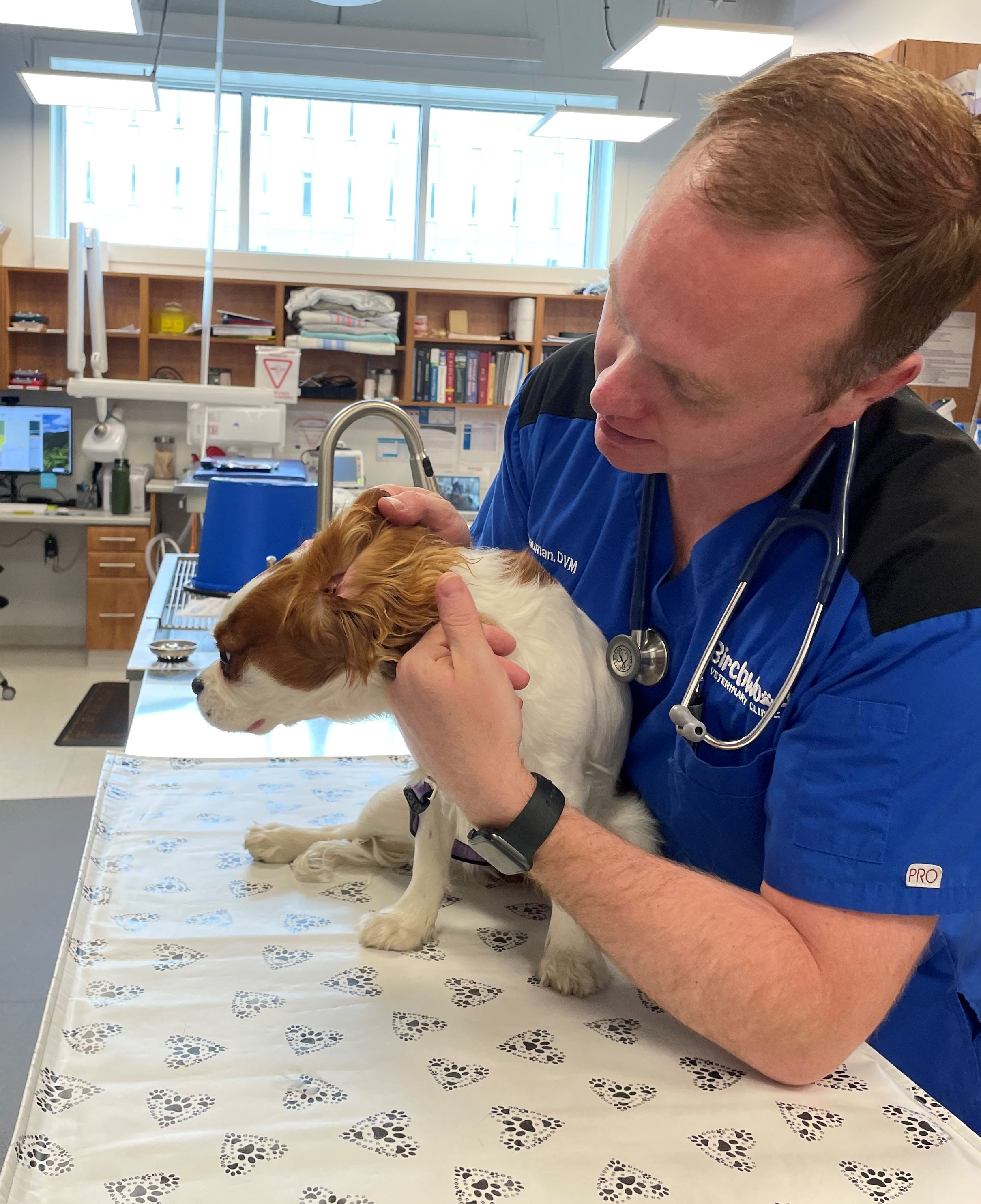 Veterinarian shortage hits hard in northern . - Prince George Citizen Veterinarian shortage hits hard in northern . - Prince George Citizen