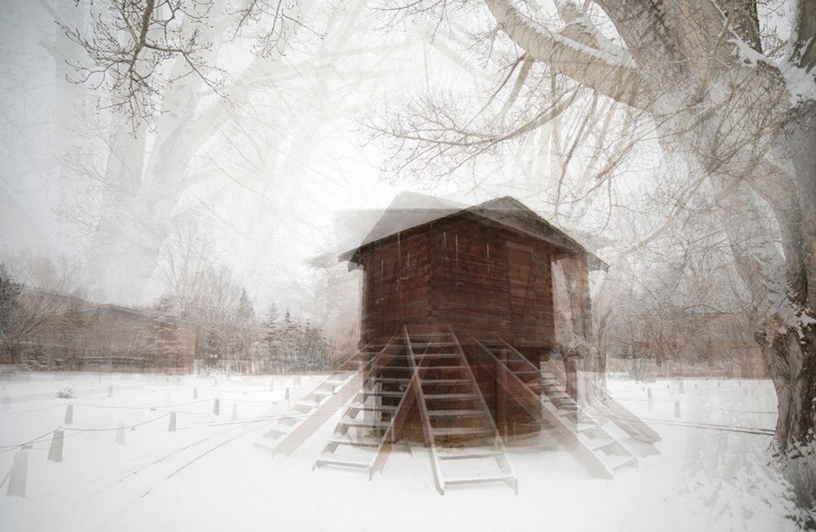 Terrill Bodner, local photographer, has been recognized nationally for her work.