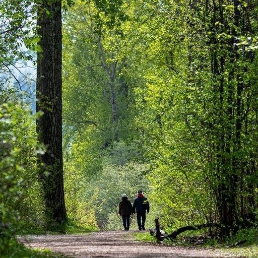 Prince George photographer Terrill Bodner shot the photo of Chuck Chin and his wife Susan going for a walk in a city park.