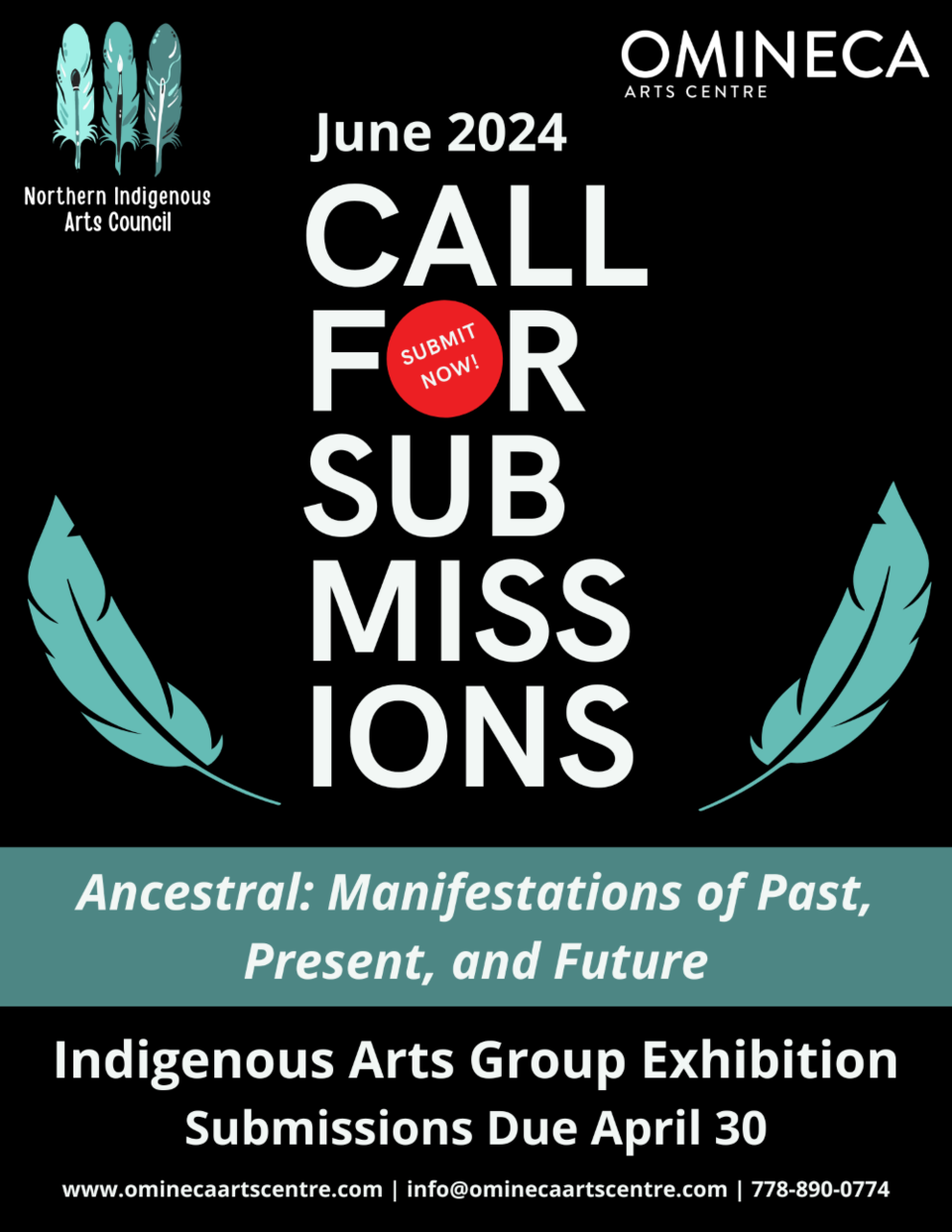 indigenous-arts-exhibition-call