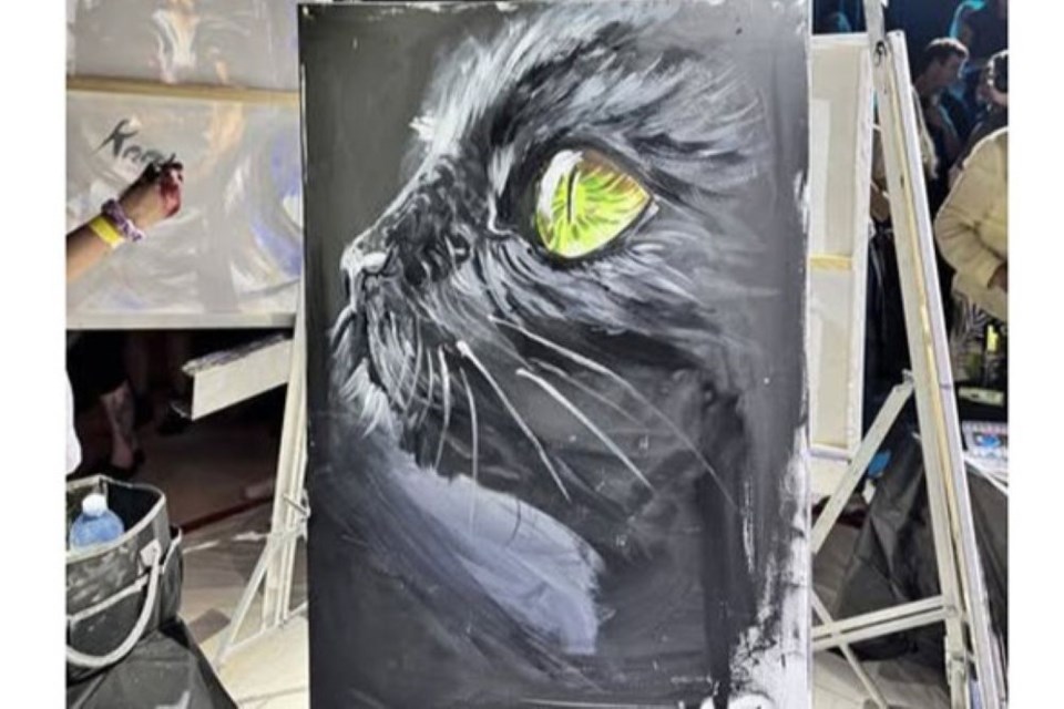 Lacey Anderson, this year's Prince George Art Battle winner, took top spot with this painting of a cat.