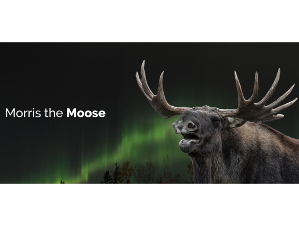 pgso-morris-the-moose