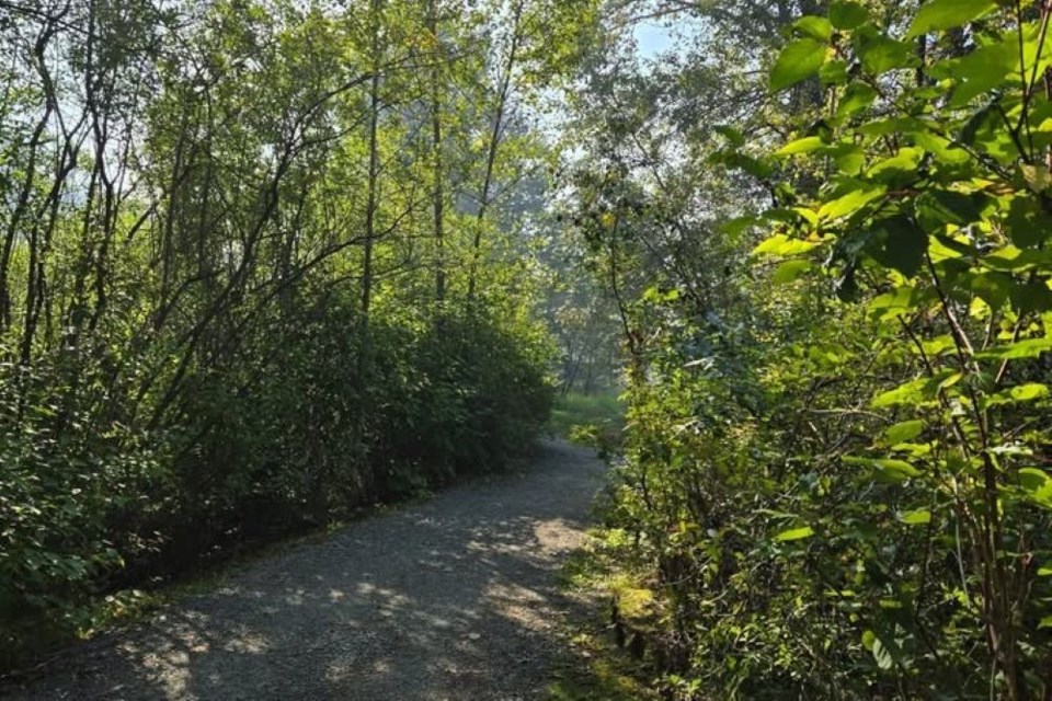 There's a Scavenger Hunt at Cottonwood Island Park on Saturday, Aug. 30, 2025, hosted by small-business owner Nik Meyer who will have more than 250 prizes to give away.