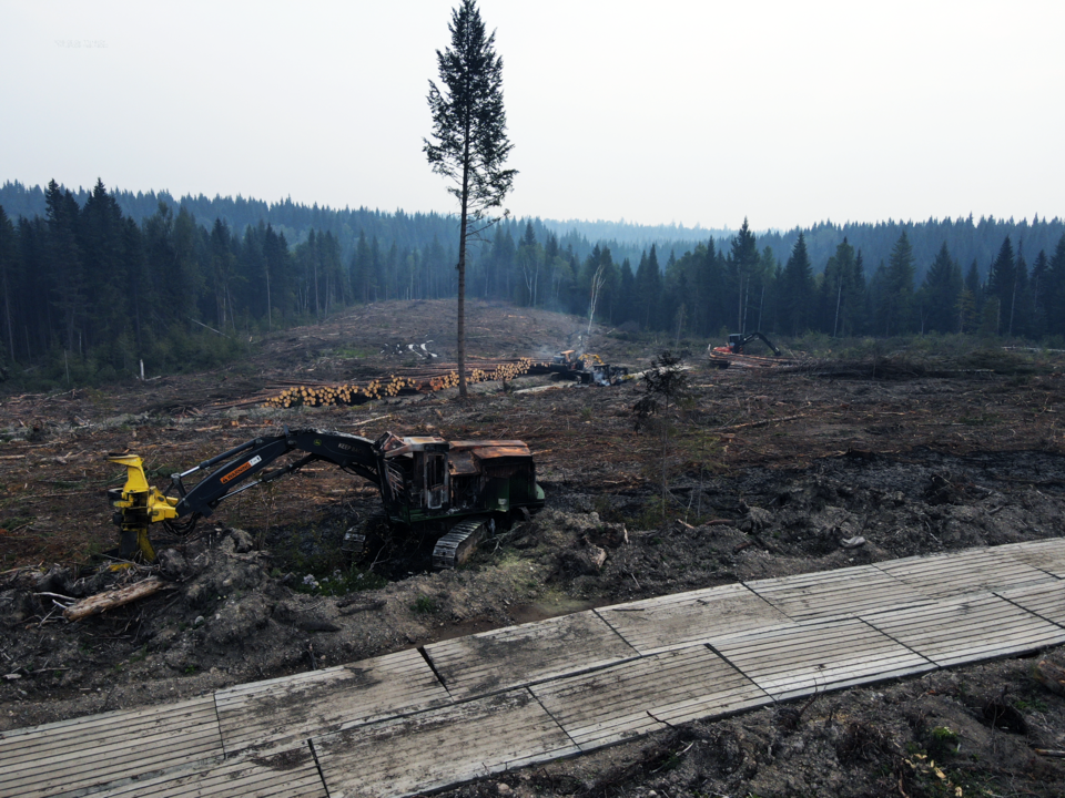 mackenzie-lookout-arson-sept-8-2023