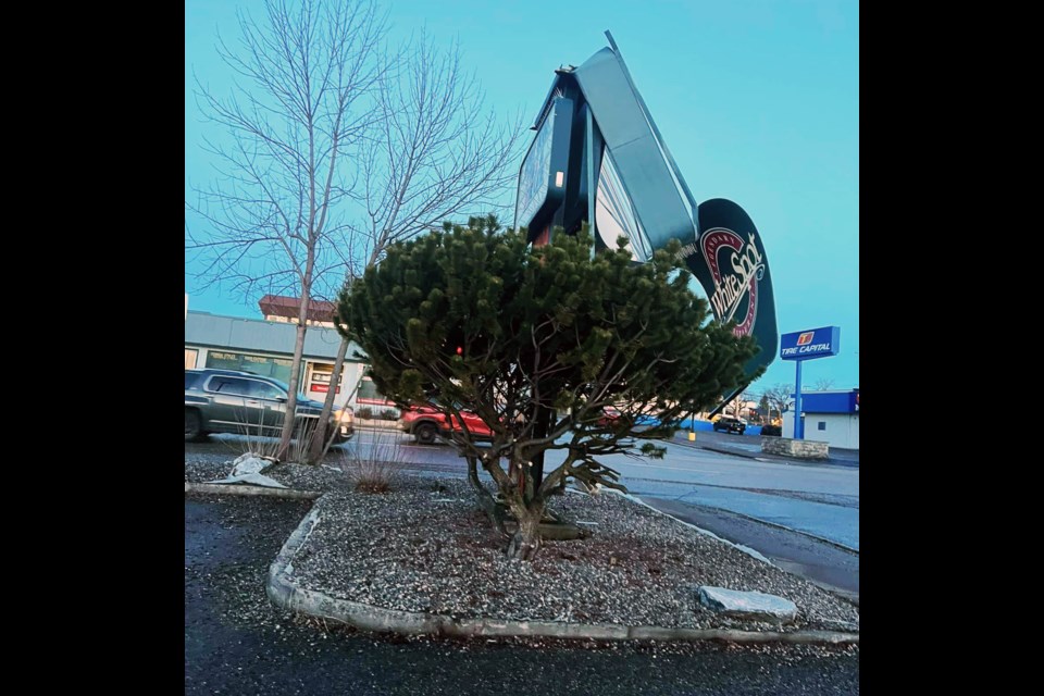 The White Spot restaurant sign facing Victoria Street in downtown Prince George shows the effects of Tuesday's early-morning windstrorm.