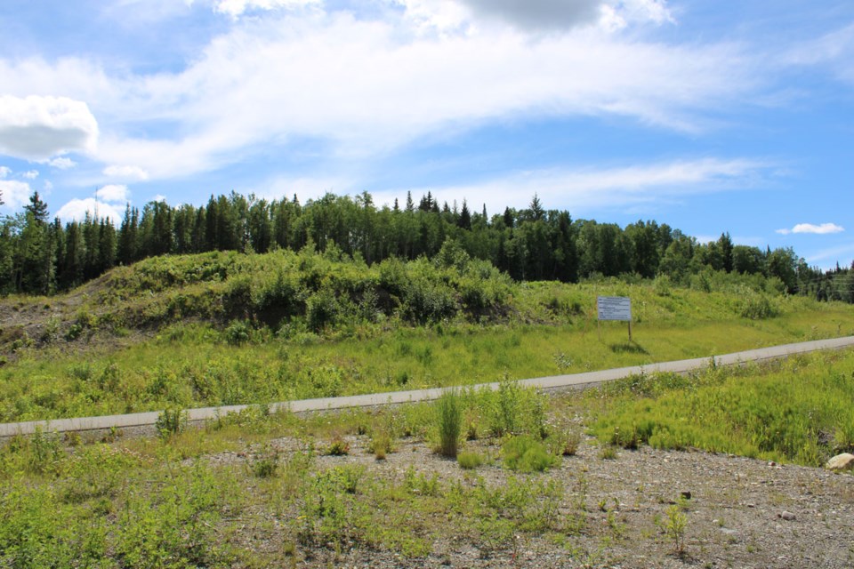 The proposed location for Forest Power Sports is seen from the corner of Marleau Road and Highway 16 on Thursday.