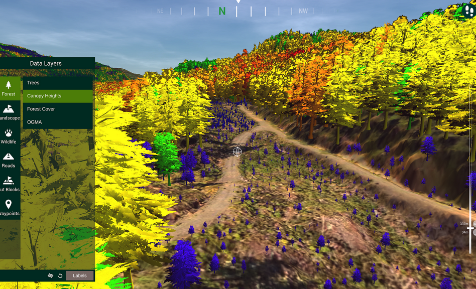 This is an example of a LiDAR image used to provide aerial three-dimensional images of a forest landscape. The BC government is investing $38 million on a project to use LiDAR technology to map the entire province.