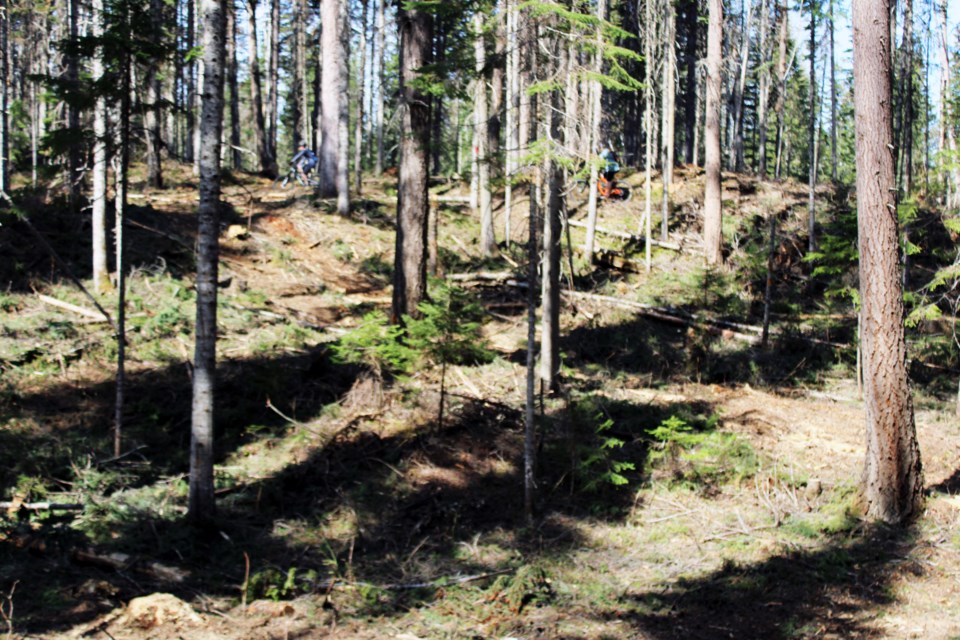 Riders pass by a gully near the Ditch Pig trail at Pidherny Recreation Site.