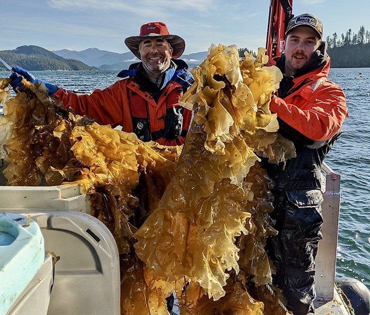 seaweedcultivation