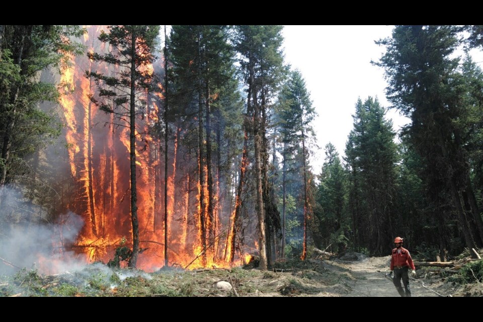 A forestry crew monitors and controlled burn of forested land in the Cariboo Fire Centre near Williams Lake in July 2017, when a wildfire threatened the airport and the city of Williams Lake.