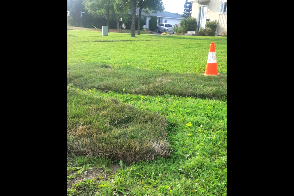 A sod expert says the subcontractor who laid new sod too high to match existing lawns  on a city streetlight project along First Avenue is creating unnecessary work for themselves by not cutting the soil down so the new grass matches the level of the exiting lawn.