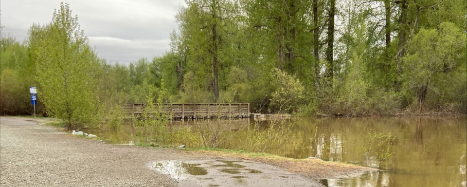 cottonwood-flooding-banner